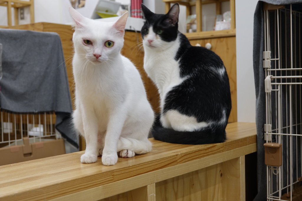 DSC00112.JPG