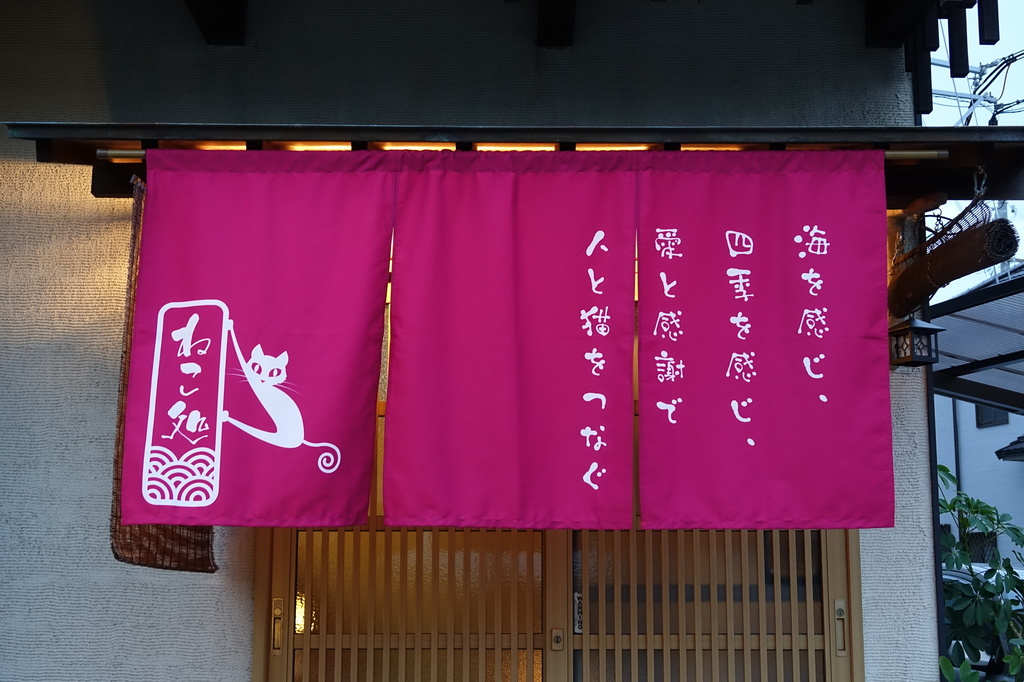 DSC03865.JPG